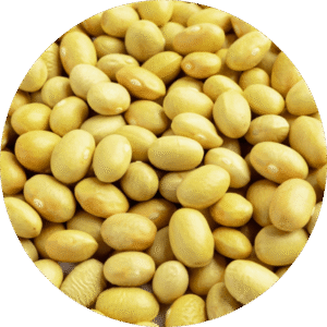 Alubia AMARILLA CANARIA