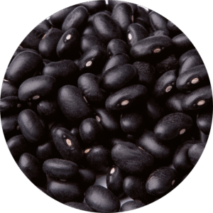 Alubia NEGRITA (Frijol Negro)