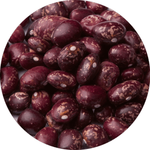 Alubia PALMEÑA REDONDA