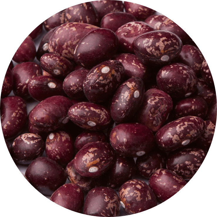 Alubia PALMEÑA REDONDA