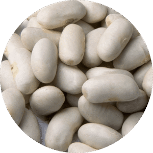 Alubia RIÑON (Canellini)