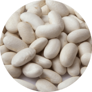 Alubia RIÑON de León