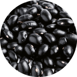 Alubia TOLOSANA NEGRA