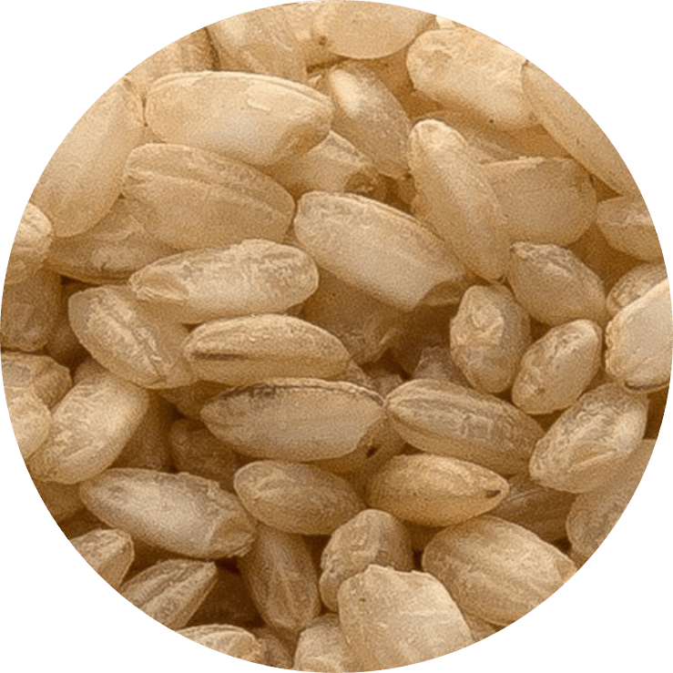 Arroz INTEGRAL Redondo