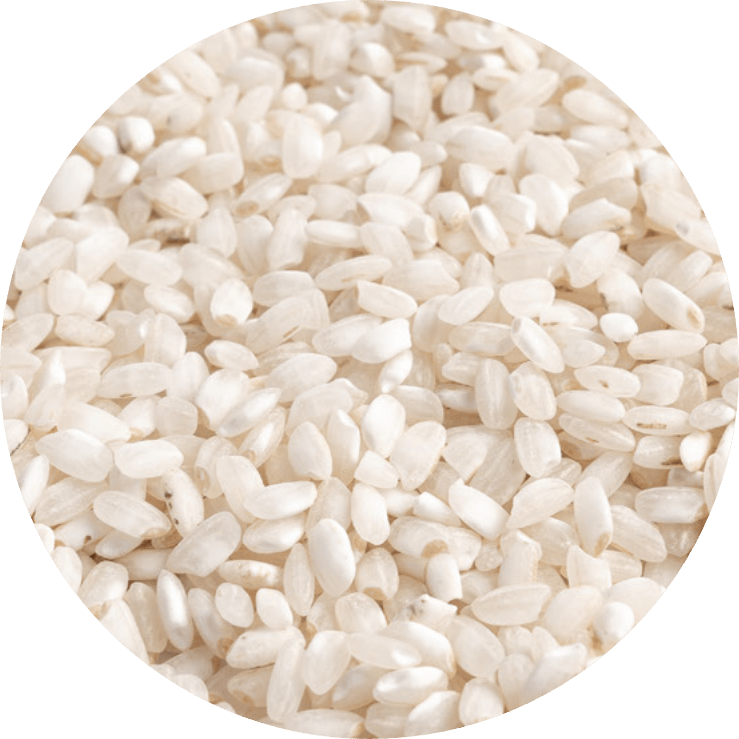 Arroz REDONDO (Bahia)