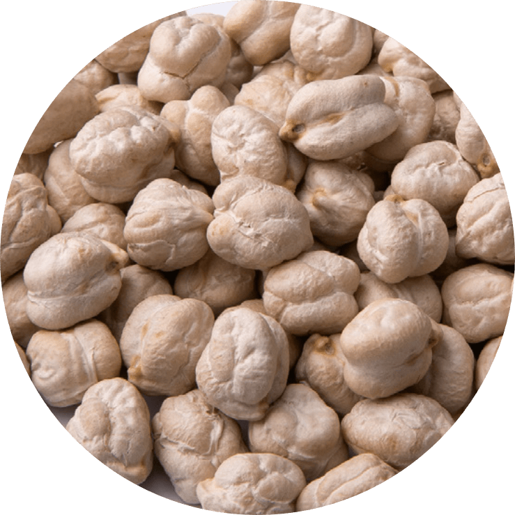 Garbanzo LECHOSO BIO