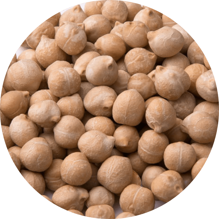 Garbanzo PEDROSILLANO BIO