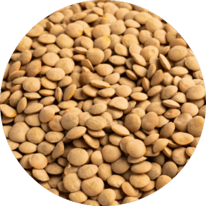 Lenteja CASTELLANA BIO