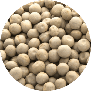 Guisante VERDE ENTERO