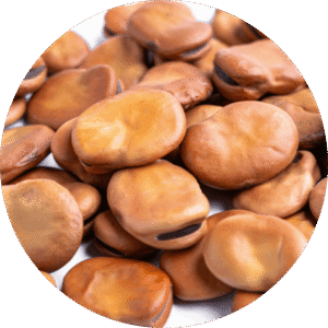 Haba seca de ARAGÓN