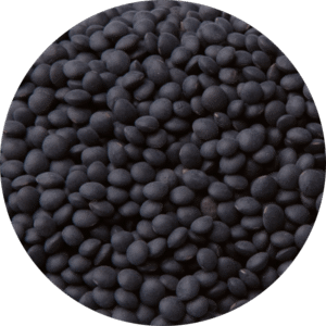 Lenteja BELUGA (Caviar)