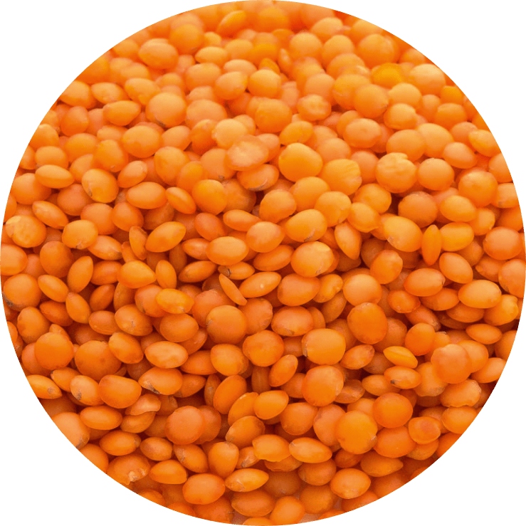 Lenteja ROJA PELADA ENTERA