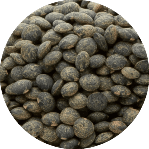 Lenteja VERDE DE PUY