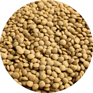 Lenteja VERDINA (Eston)