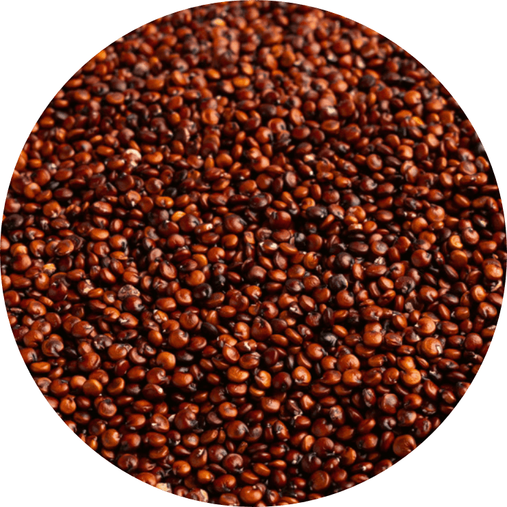 Quinoa ROJA