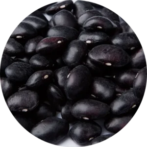 Alubia TOLOSANA NEGRA