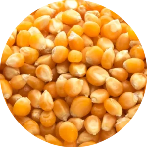 Maíz PALOMITAS